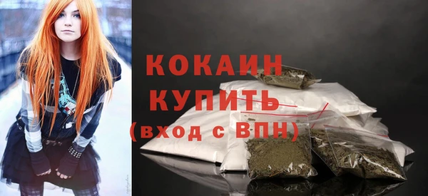 индика Наволоки