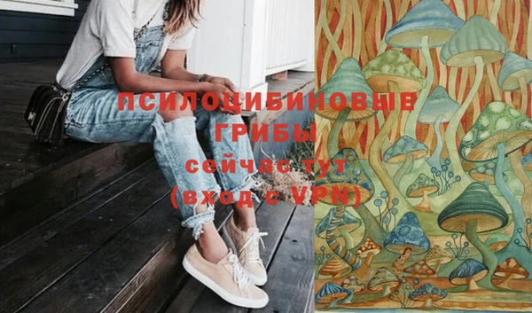 а пвп мука Арсеньев